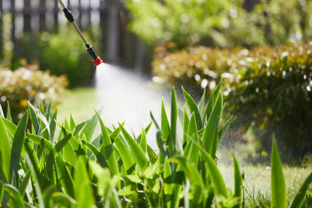 Tamper-Resistant Bait Stations for Rodents in Crystal City