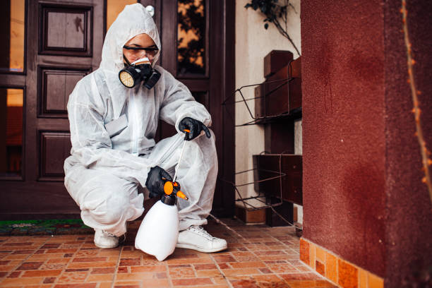 Attic and Crawl Space Rodent Treatment in Crystal City